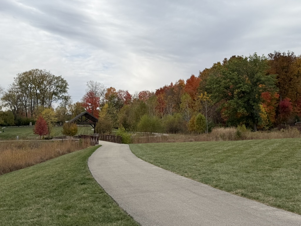 A winding path through green grass and autumn trees, photographed by Victor Wieczorek
